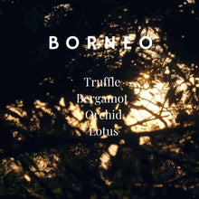 Load image into Gallery viewer, BORNEO Eau De Parfum 100ml amber jar with gold label and kraft gift box