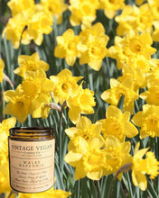 Load image into Gallery viewer, Welsh Candle Daffodil soy wax vegan candle with hyacinth, rose, and lily of the valley notes in vintage newspaper gift wrap