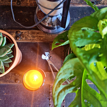 Load image into Gallery viewer, Australia Peppermint and Eucalyptus soy wax candle burning on wooden surface surrounded by green plants and vintage items