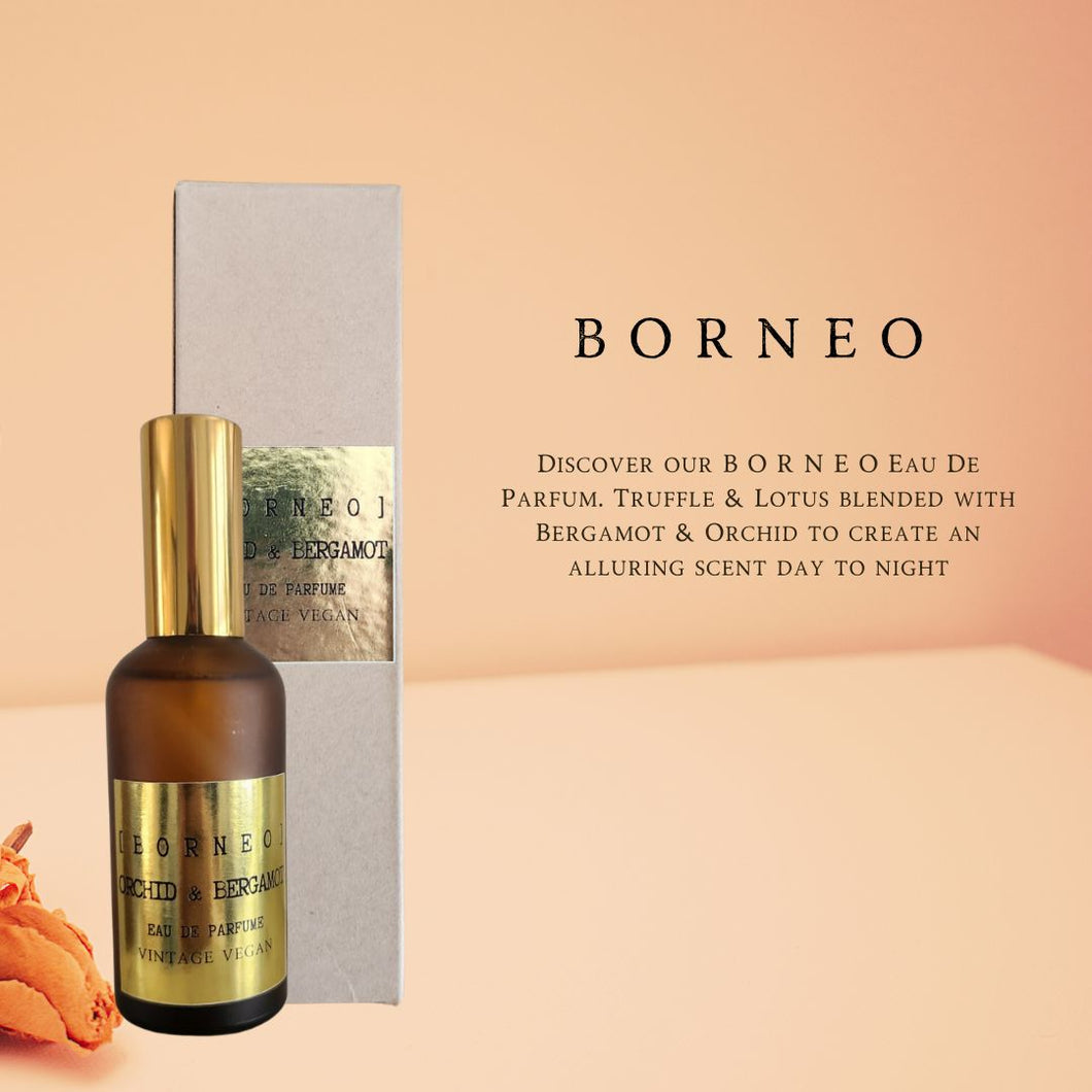 B O R N E O  Eau De Parfum
