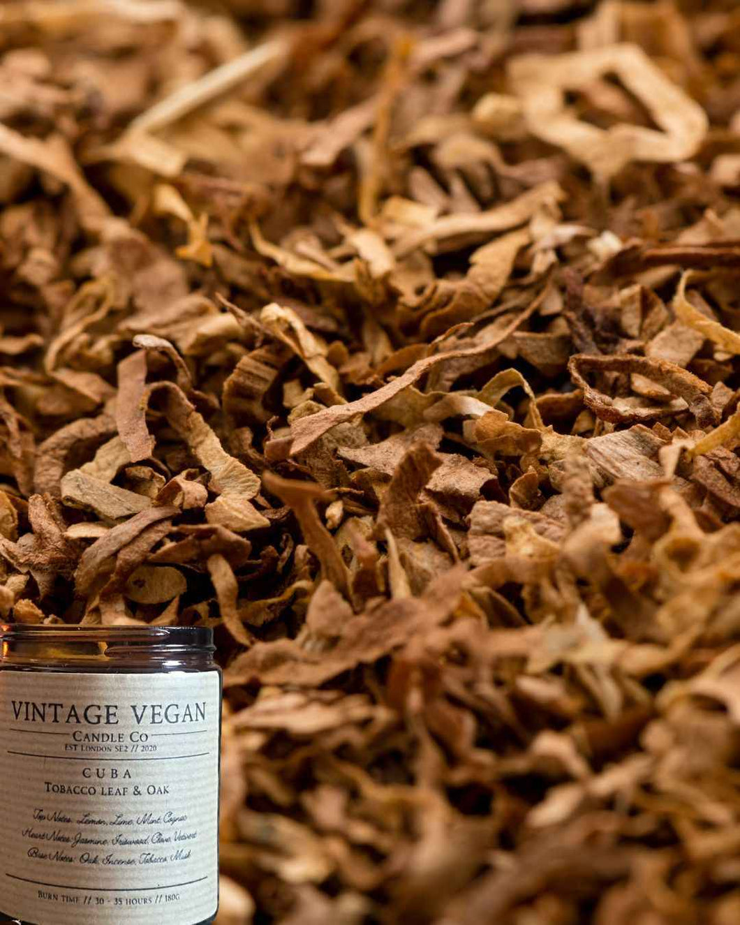 Cuban Oak and Tobacco Soy Wax Candle 180ml with tobacco leaf and oak scent surrounded by dried tobacco leaves