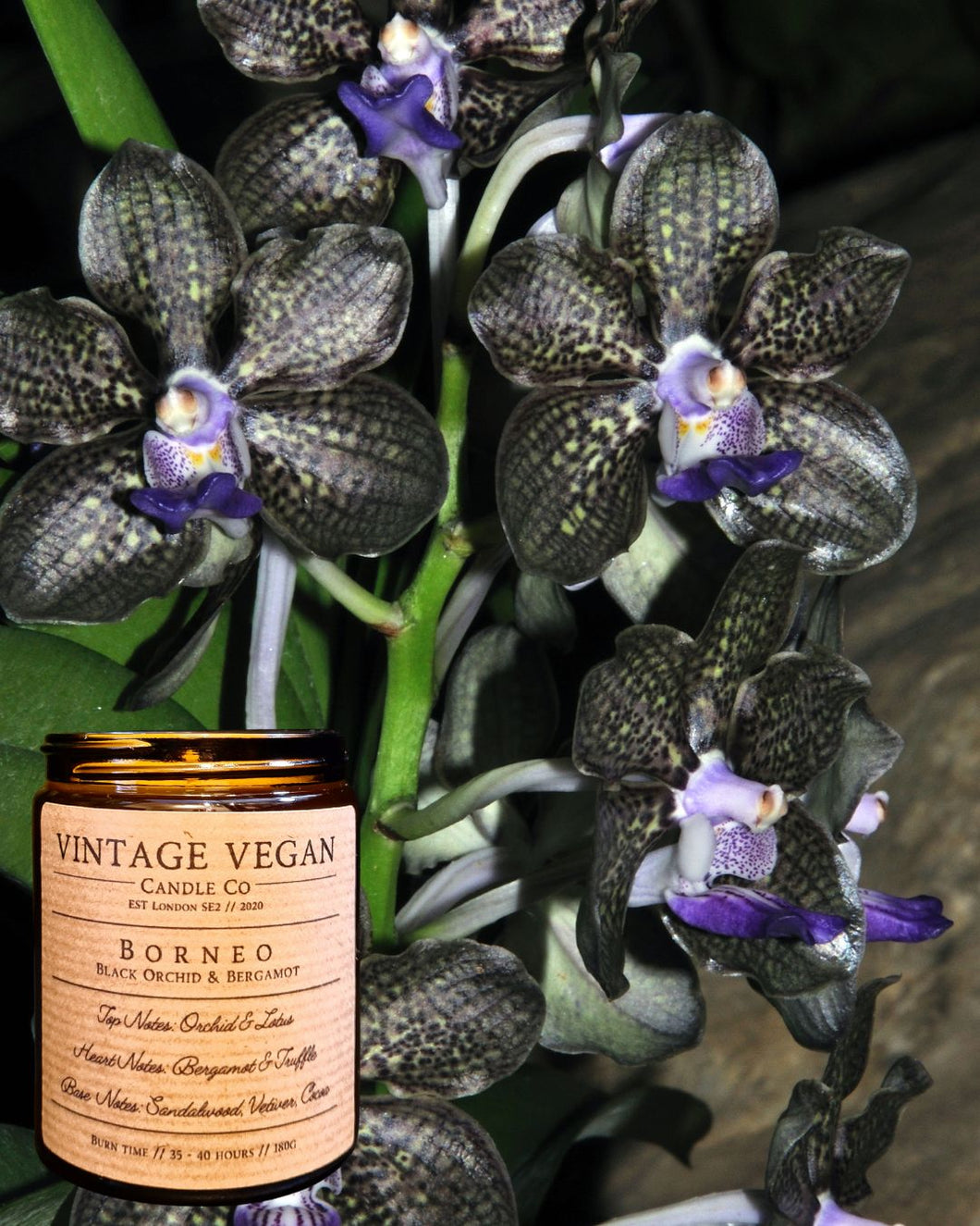 Borneian Black Orchid and Bergamot Soy Wax Candle 180ml